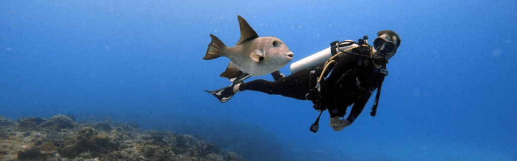 best Cozumel dive sites