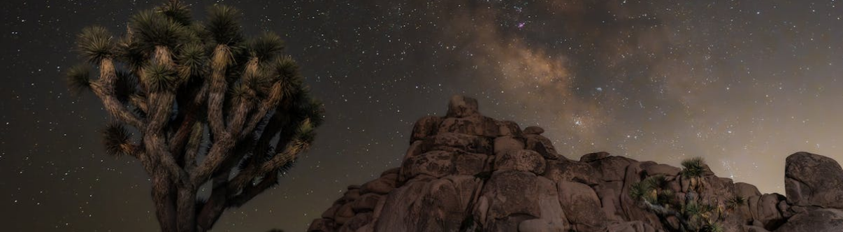 stargazing desert treks