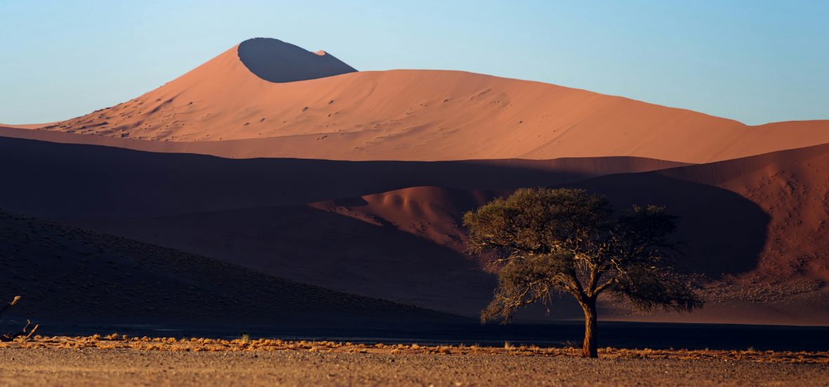 sahara vs namib