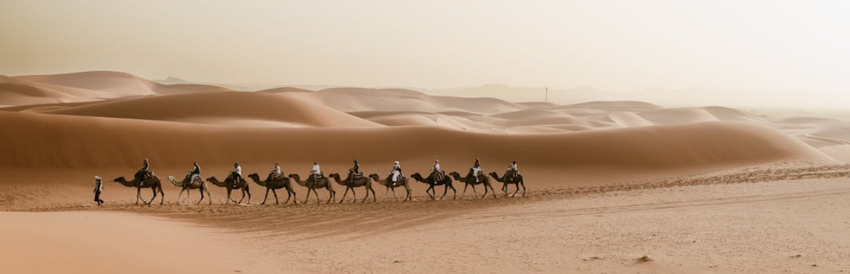 sahara vs namib