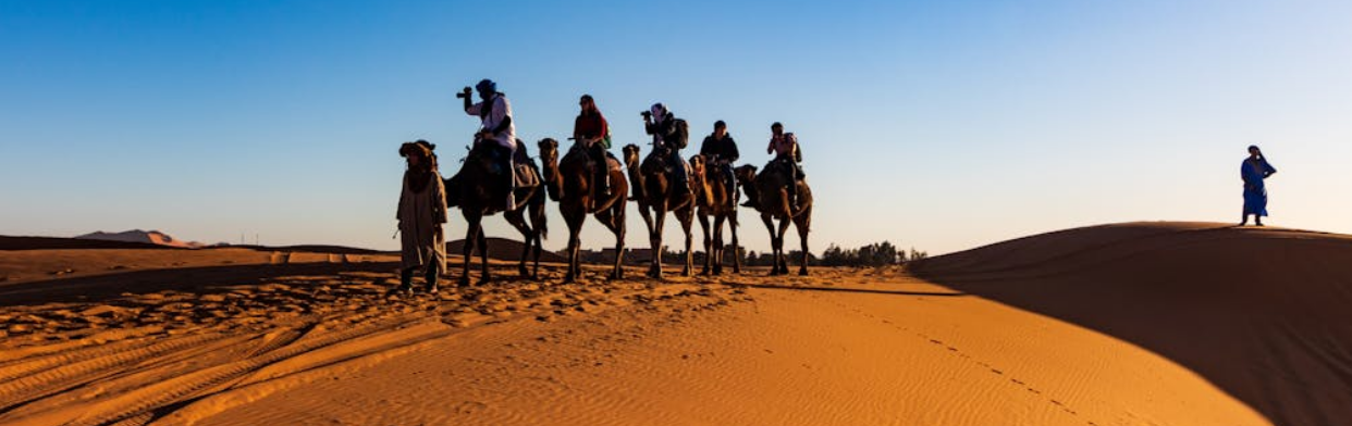 sahara vs namib