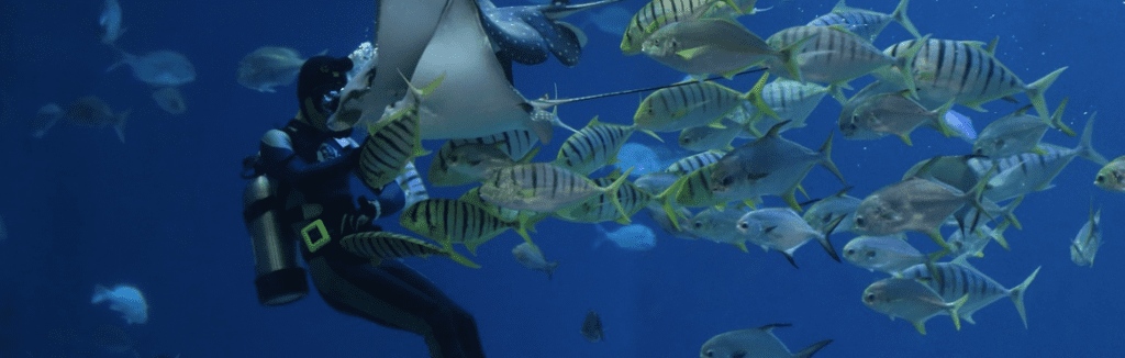 complete scuba gear packages