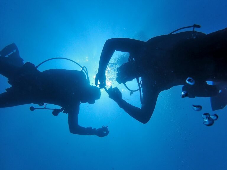 6 Great Scuba Diving Books for Beginners