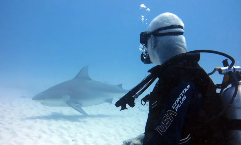 Scuba Diving with Sharks: A Guide to Thrilling Adventures