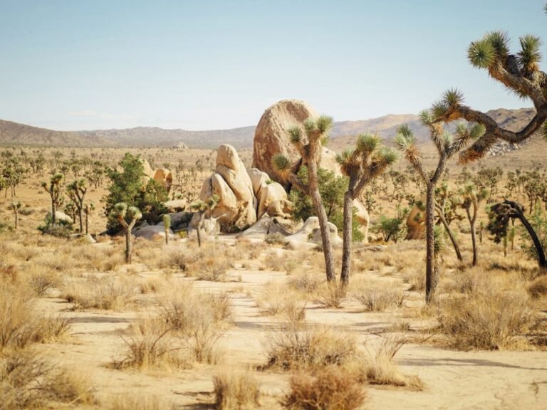 Top Wildlife and Plants to Discover in the Mojave Desert